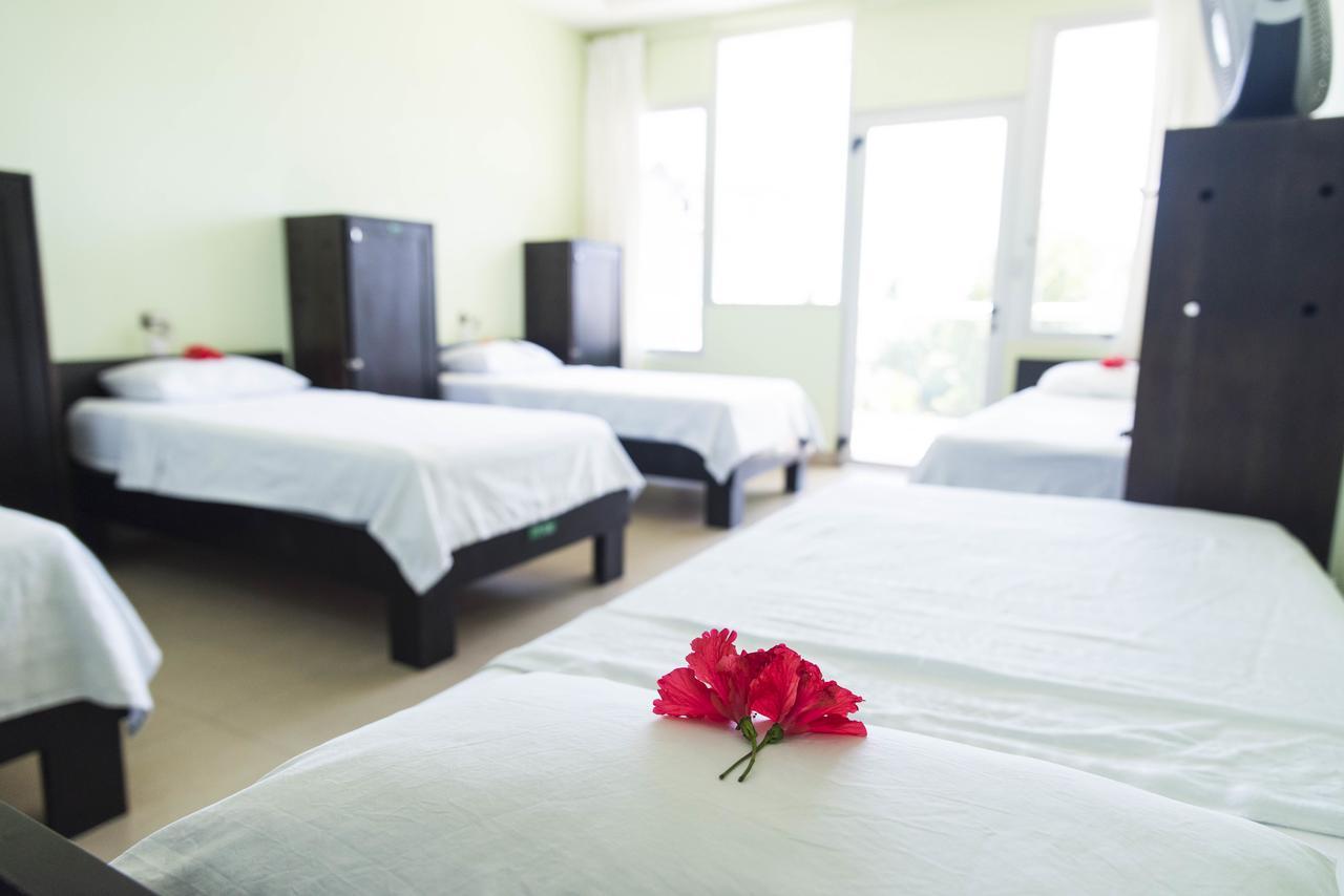 Room2board And Surf School Hostel Jaco